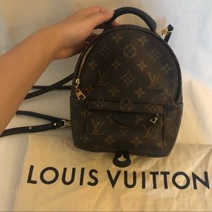 Louis Vuitton Palm Springs Backpack Mini